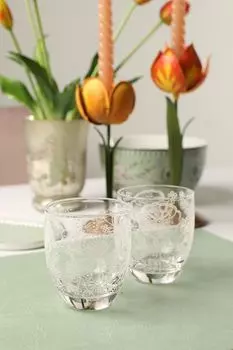 Набор из 2 стаканов Flower White Pip Studio