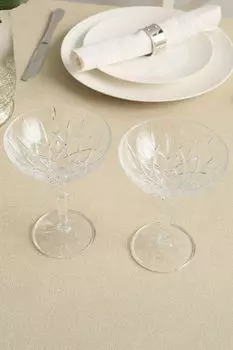 Набор из двух фужеров для коктейля Noblesse Nachtmann