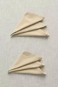 Набор из двух хлопковых салфеток COINCASA