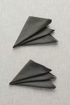 Набор из двух хлопковых салфеток COINCASA