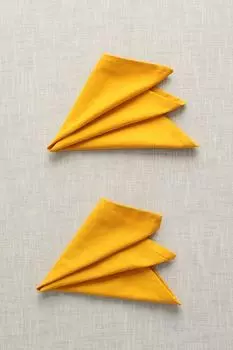 Набор из двух хлопковых салфеток COINCASA