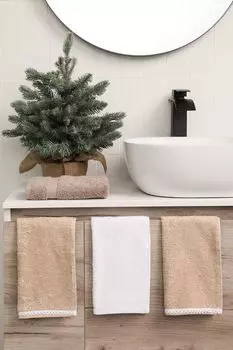 Набор из трех хлопковых полотенец с принтом COINCASA