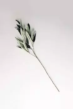 Новогоднее украшение Ветка GOODWILL