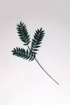 Новогоднее украшение Ветка GOODWILL