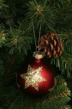 Новогоднее украшение Звезда в ассортименте House of seasons