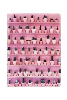 Обложка для паспорта Кактусы на полке Kawaii Factory