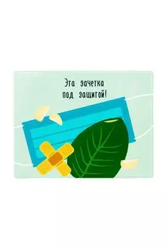 Обложка на зачетную книжку Защита Kawaii Factory