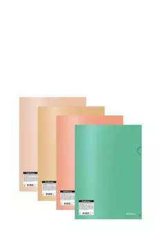 Папка для тетрадей на резинках A4 ErichKrause