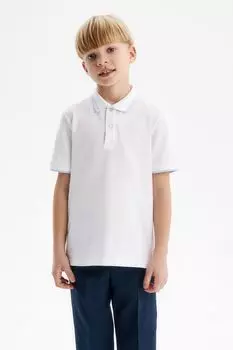 Поло хлопковое Silver Spoon