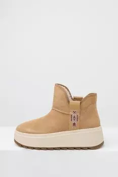 Полусапоги велюровые на меху с декором Ash