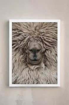 Постер Барашек в раме Gallery 5