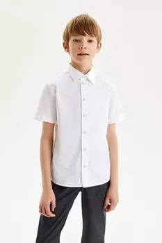 Рубашка хлопковая с коротким рукавом Silver Spoon