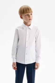 Рубашка хлопковая Silver Spoon