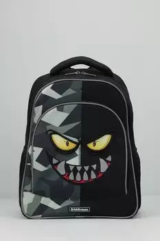 Рюкзак с ортопедической спинкой ErichKrause