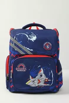 Рюкзак с ортопедической спинкой Silver Spoon