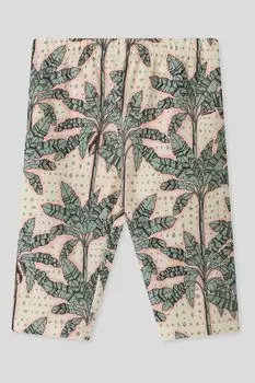 Шорты хлопковые с принтом Choupette