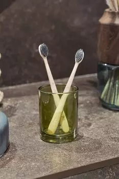 Стакан для зубных щеток стеклянный Teriberka Moroshka