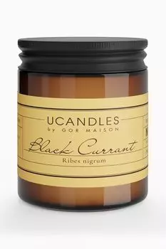 Свеча в банке Black Currant, 200 гр UCANDLES