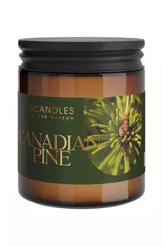 Свеча в банке Canadian Pine, 200 гр UCANDLES