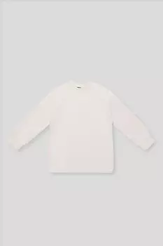 Свитшот флисовый Pulka