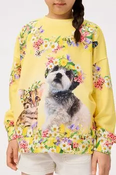 Свитшот хлопковый с принтом Molo