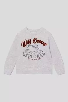 Свитшот хлопковый с принтом OVS