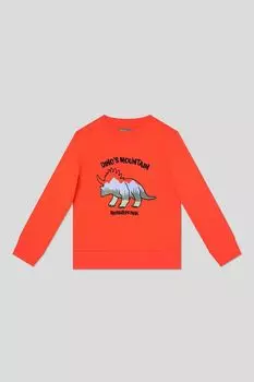 Свитшот хлопковый с принтом OVS