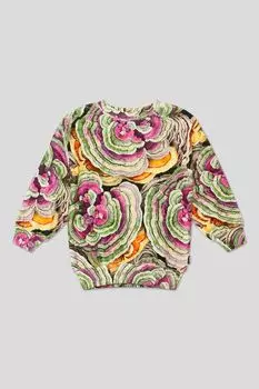 Свитшот Monti Wood Fungi Molo