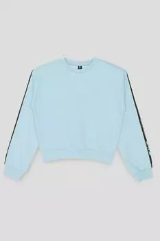 Свитшот с лампасами Reporter Young