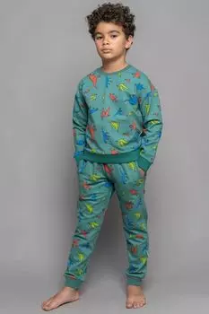 Свитшот с принтом Динозавры Aspaya