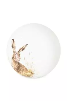 Тарелка для пасты фарфоровая с принтом Забавная фауна Заяц Royal Worcester