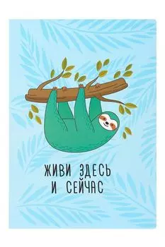 Тетрадь в розовую клетку А4 Живи Kawaii Factory