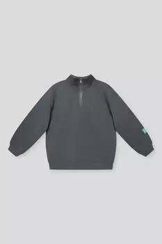 Толстовка хлопковая с воротником на молнии Artie