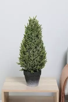 Туя новогодняя в кашпо Karlsbach