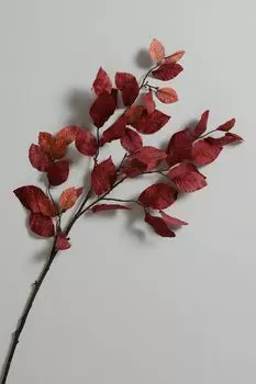 Ветка декоративная EDG