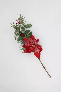 Ветка декоративная еловая к Пуансеттией Triumph Nord