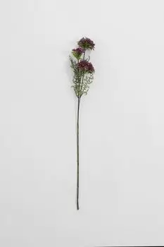 Ветка декоративная Integrifolia EDG