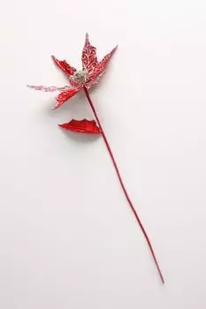 Ветка декоративная Triumph Nord