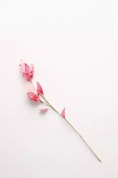 Ветка декоративная Triumph Nord