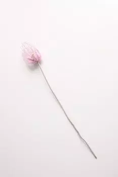 Ветка декоративная Triumph Nord