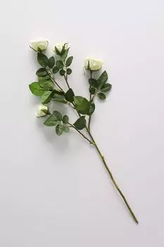 Ветка розы декоративная в ассортименте Home Philosophy