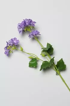 ветка декоративная EDG