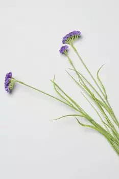 ветка декоративная EDG