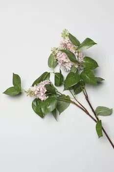 ветка декоративная EDG