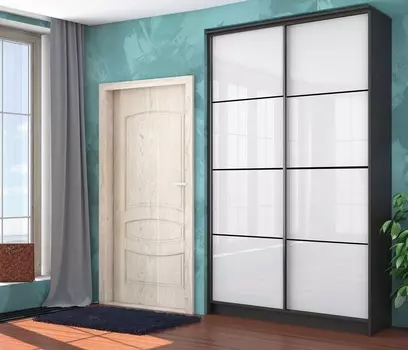 Байкал-2 Шкаф-купе 2-х дв. 1495