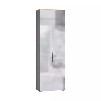 Шкаф для одежды Октава 13.338, серый графит, дуб золотой крафт