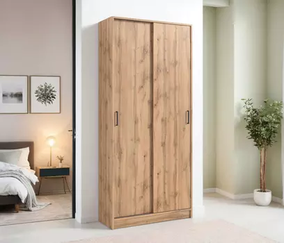 Шкаф-купе 2-х дверный Терра СБ-2545