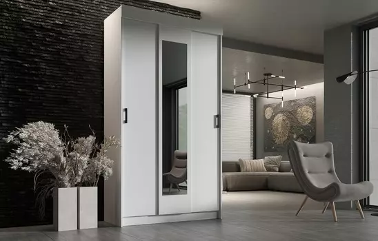 Шкаф-купе Эко 1,2 м ЛДСП