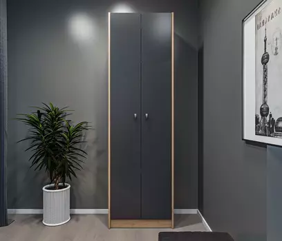 Шкаф 2 дверный Сидней СБ-2588 Дуб дикий/Диамант серый