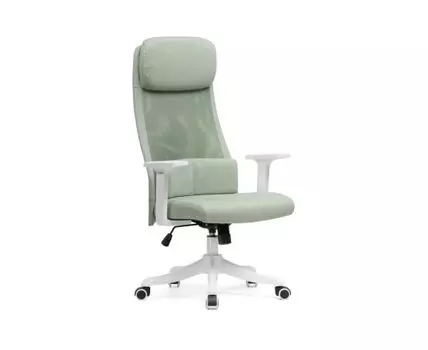 [13806] Компьютерное кресло Salta